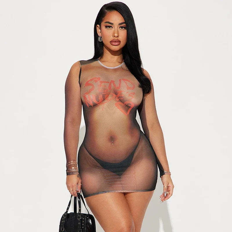 Send Nudes Sexy Mesh Dress