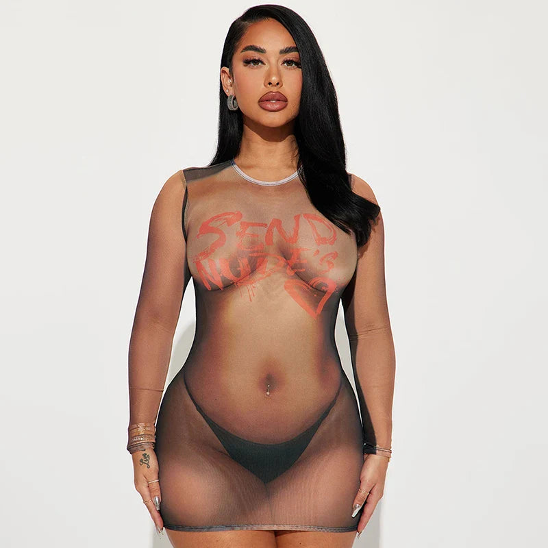 Send Nudes Sexy Mesh Dress